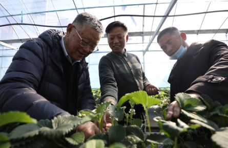 “全國脫貧攻堅楷?！壁w亞夫：帶民同致富，把成績寫在大地上