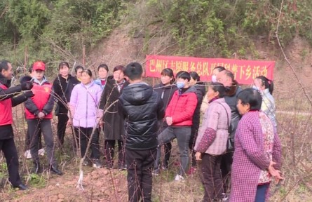 四川巴州：“送科技下鄉(xiāng)” 助力春耕生產(chǎn)