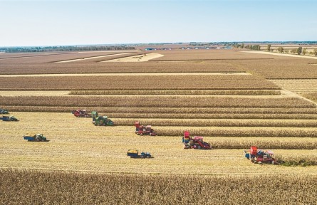 吉林：惜土如金筑糧倉(cāng)