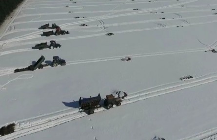 黑龍江：農(nóng)家肥成春耕“香餑餑” 保護(hù)黑土促增收