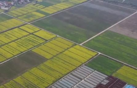 江西：穩(wěn)面積 挖潛力 早稻播種全面展開