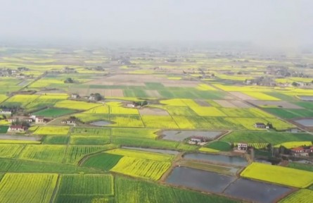 湖北當(dāng)陽：搶抓農(nóng)時(shí)不負(fù)春 蔬菜基地耕種忙