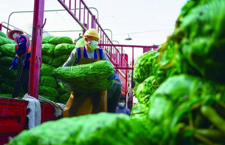 線上建群保供，線下備貨配送！上海全力以赴保障“菜籃子”供應(yīng)