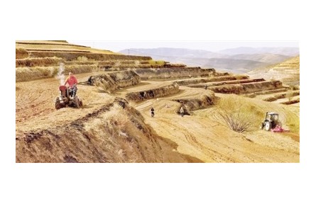 寧夏：扛穩(wěn)糧食安全重任 已播種春小麥60.1萬畝