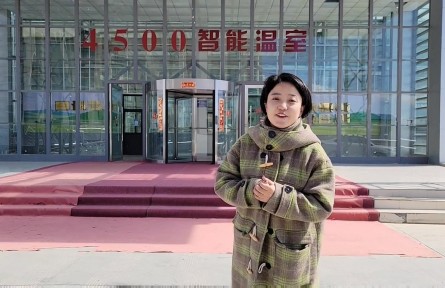 西藏那曲：科技讓海拔4500米的智能溫室綠意盎然