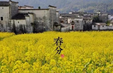 春暖花開(kāi)，今日春分
