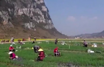 【奮進新征程 建功新時代·偉大變革】民生無小事 枝葉總關情