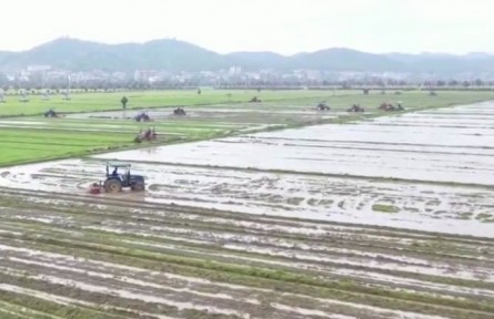 湖南：堅(jiān)持疫情防控和春耕生產(chǎn)“兩不誤”?