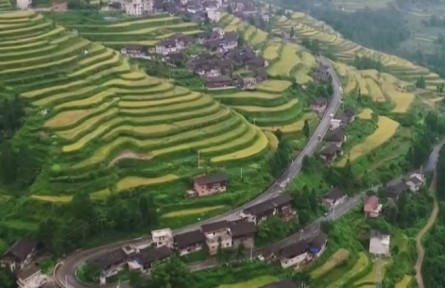 鞏固脫貧成果 銜接鄉(xiāng)村振興 發(fā)揮體制優(yōu)勢(shì) 支持鄉(xiāng)村振興重點(diǎn)幫扶縣