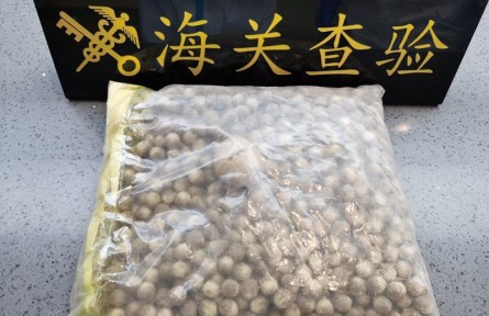 海關(guān)科普：從國外引進植物種子的檢疫流程