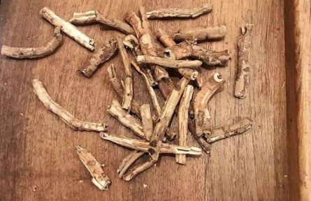 健康問(wèn)答 | 怎樣煎中藥、喝中藥才能獲得好藥效？