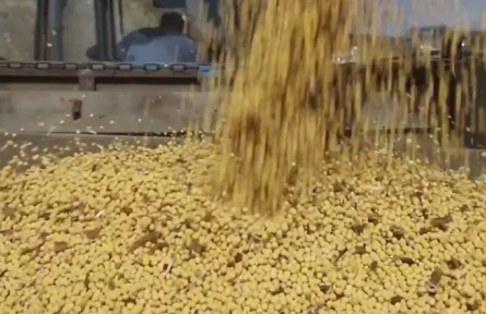 黑龍江：一年好景看春耕 大豆擴種迎先機