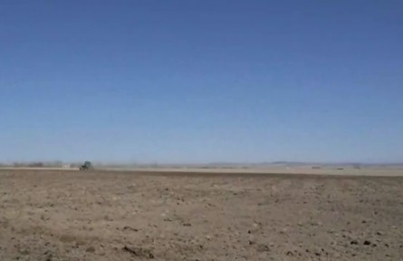 新疆各地特色農(nóng)作物進(jìn)入春播春管關(guān)鍵期