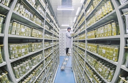 探訪湖南省農作物種質資源庫