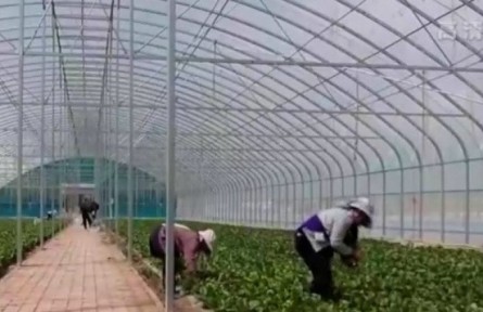 寧夏：搶抓農時生產忙