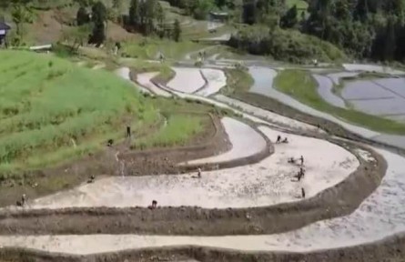 重慶黔江：機械化作業(yè) 高山梯田開犁忙