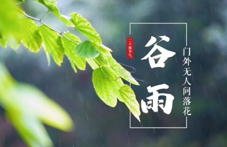 谷雨，門外無(wú)人問(wèn)落花