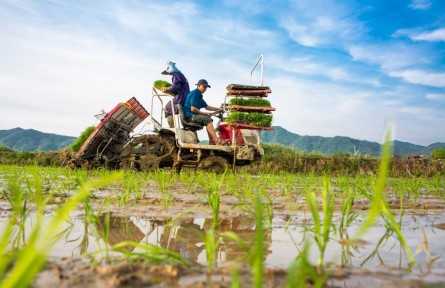 疫情挑戰(zhàn)下，如何抓好抓牢“米袋子”“菜籃子”？