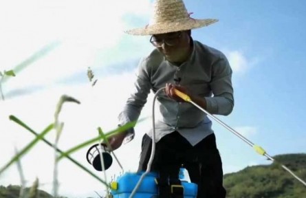 水稻栽培師李建武：扎根稻田 做一?！昂梅N子”