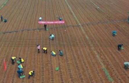 云南各地春耕生產(chǎn)有序推進