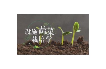 《設(shè)施蔬菜栽培學?》講座系列視頻