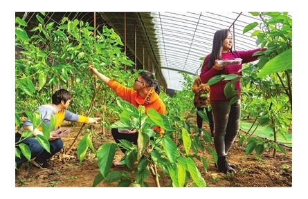 產(chǎn)業(yè)、生態(tài)、文化“三重塑”一場“形”與“魂”的重塑