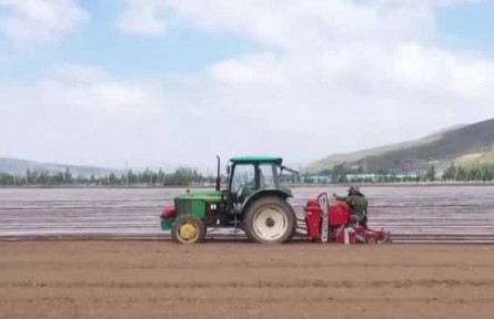寧夏西吉：68.5萬(wàn)畝馬鈴薯開(kāi)始種植