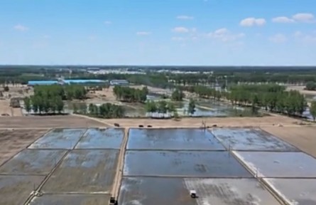 遼寧：水稻插秧作業(yè)拉開(kāi)序幕