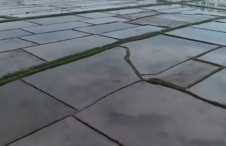 黑龍江：多措并舉 保護(hù)黑土