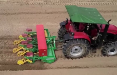 四川洪雅：多措并舉 確保大豆擴(kuò)種提產(chǎn)