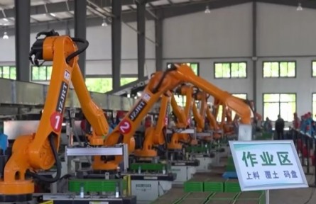 江蘇：啟用自動化育秧新基地 讓水稻生產(chǎn)更高效