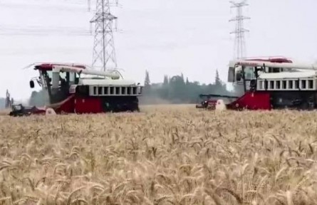 國家糧食和物資儲備局：加強夏糧收購監(jiān)督 切實保護糧農(nóng)利益