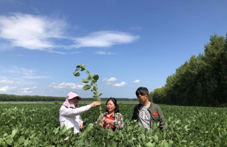 “豆大”的事兒，她一干就是37年