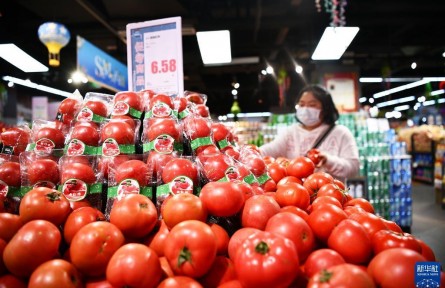 經(jīng)濟(jì)形勢(shì)怎么看？穩(wěn)就業(yè)、穩(wěn)物價(jià)如何發(fā)力？——國(guó)家發(fā)展改革委回應(yīng)經(jīng)濟(jì)熱點(diǎn)