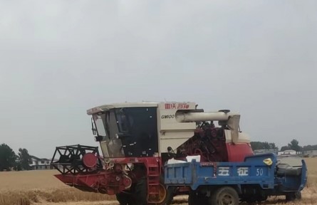 機(jī)手、主播、畫家……“三農(nóng)”變化之農(nóng)民新職業(yè)