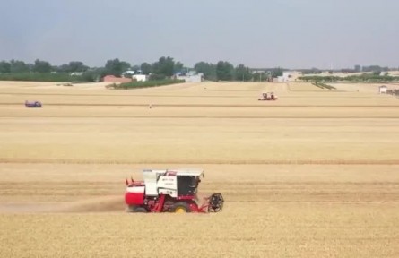 【在希望的田野上·三夏時節(jié)】夏收加快推進 高效農(nóng)機力促提質(zhì)增效