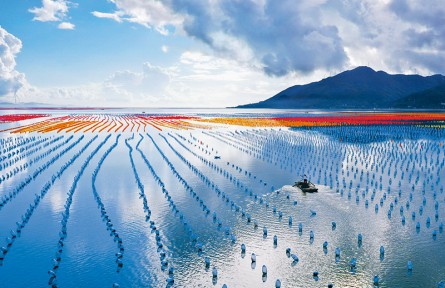 《求是》雜志編輯部：讓中華大地天更藍(lán)、山更綠、水更清、環(huán)境更優(yōu)美