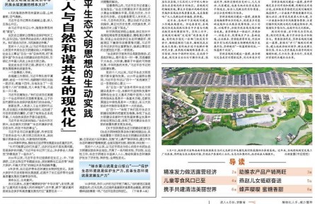 示范田高產(chǎn)有秘訣