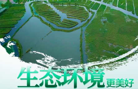 海報(bào)：2022年環(huán)境日