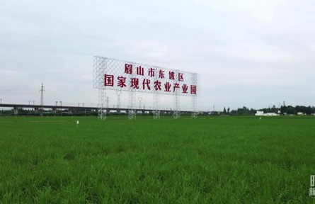 時政新聞眼 | 習(xí)近平再赴四川考察，在眉山重點關(guān)注了什么？