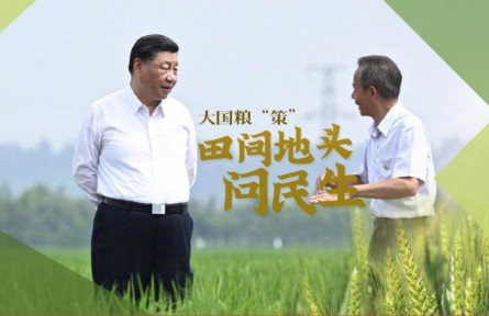 大國(guó)糧“策”|田間地頭問(wèn)民生
