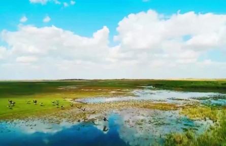 大美邊疆行 | 駿馬揚(yáng)鬃逐夢去，民富邊興幸福長
