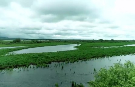 【奮進(jìn)新征程 建功新時(shí)代·大美邊疆行】黑龍江：扎實(shí)推進(jìn)興邊富民促發(fā)展