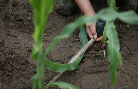 黑土地保護法 law on black soil conservation