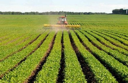 不誤農(nóng)時(shí)促夏管 夯實(shí)糧食穩(wěn)產(chǎn)基礎(chǔ)