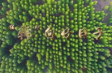 說說我的綠色獲得感 |“犇”向好日子