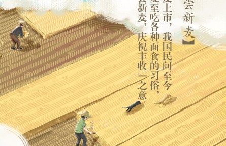 夏至丨喜嘗新麥！你最愛吃哪款面食？