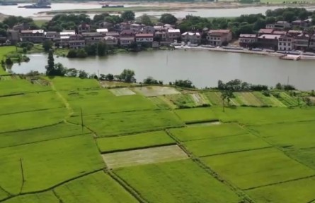 2022年全國(guó)夏管有序推進(jìn)