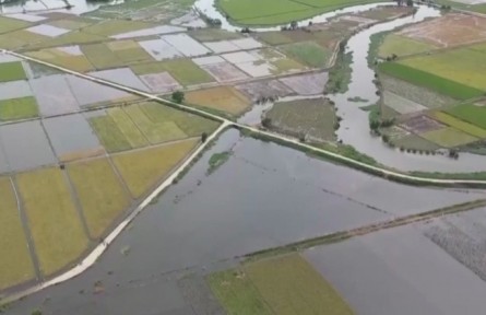 廣東：搶抓農(nóng)時(shí)應(yīng)對災(zāi)情 搶收補(bǔ)種全力減損