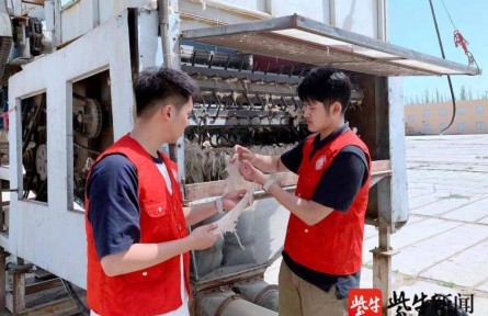 效率提高20倍！南京林業(yè)大學學子發(fā)明智能分揀系統(tǒng)，助力新疆長絨棉豐產(chǎn)增收